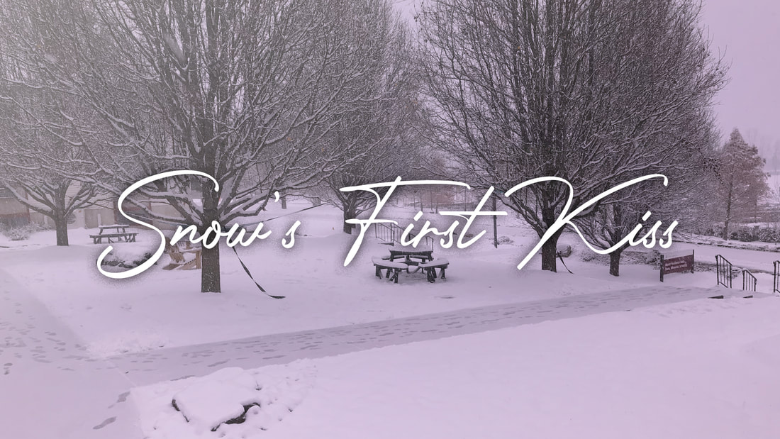 Snow's First Kiss Story Artwork, Picture of Snowy Scene with Trees, picnic tables and dorm buildings