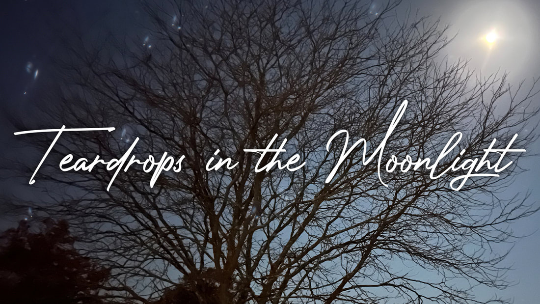 Teardrops in the Moonlight story graphic with full moon pictured at top right, a night sky with teardrops and a large tree at left center.